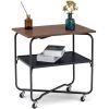 2-Tier End Table with Metal Storage Shelf and Foldable Frame